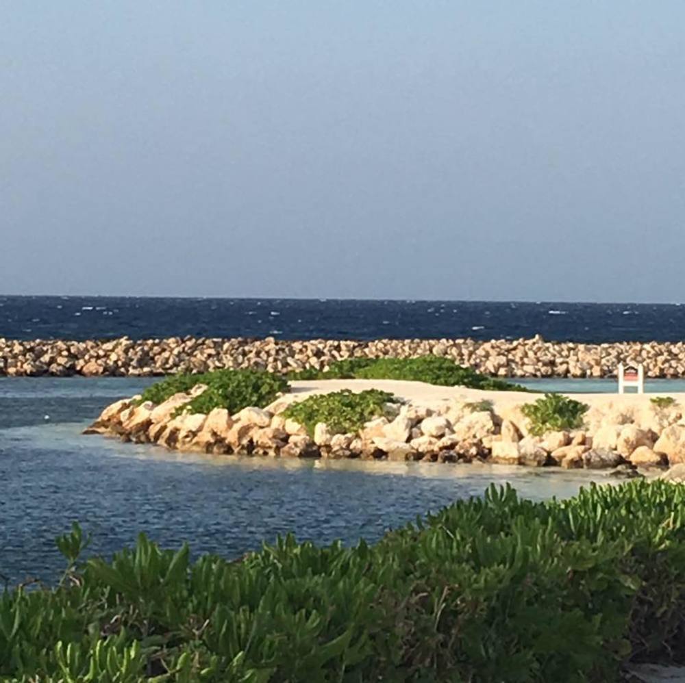 Meet your Posher, Carrie